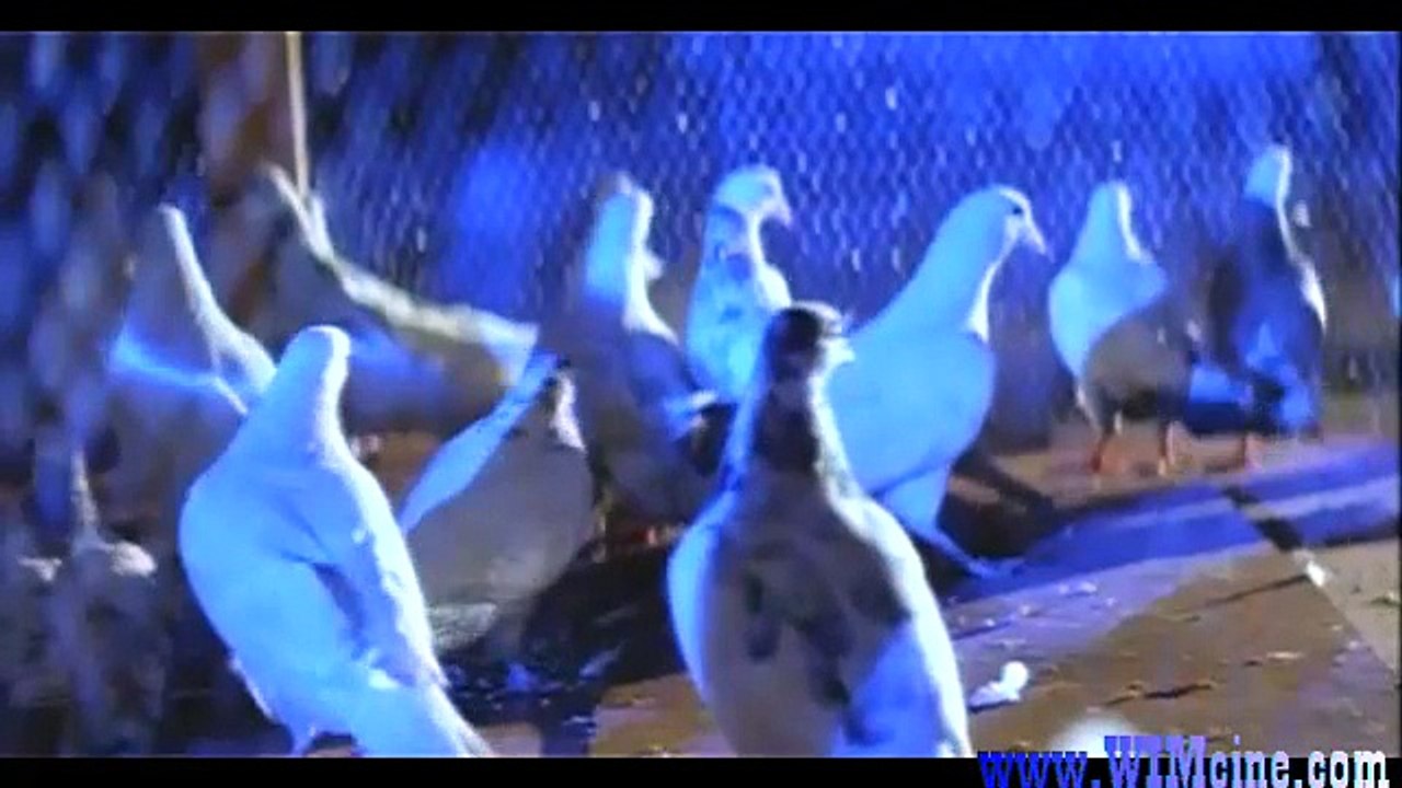 Junoon (1992)_clip3