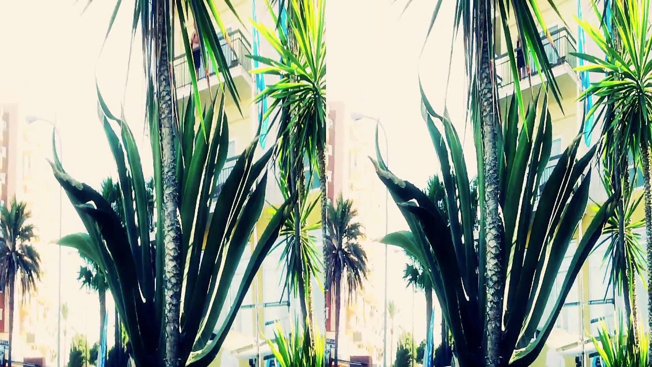 Palma de Mallorda in 3D