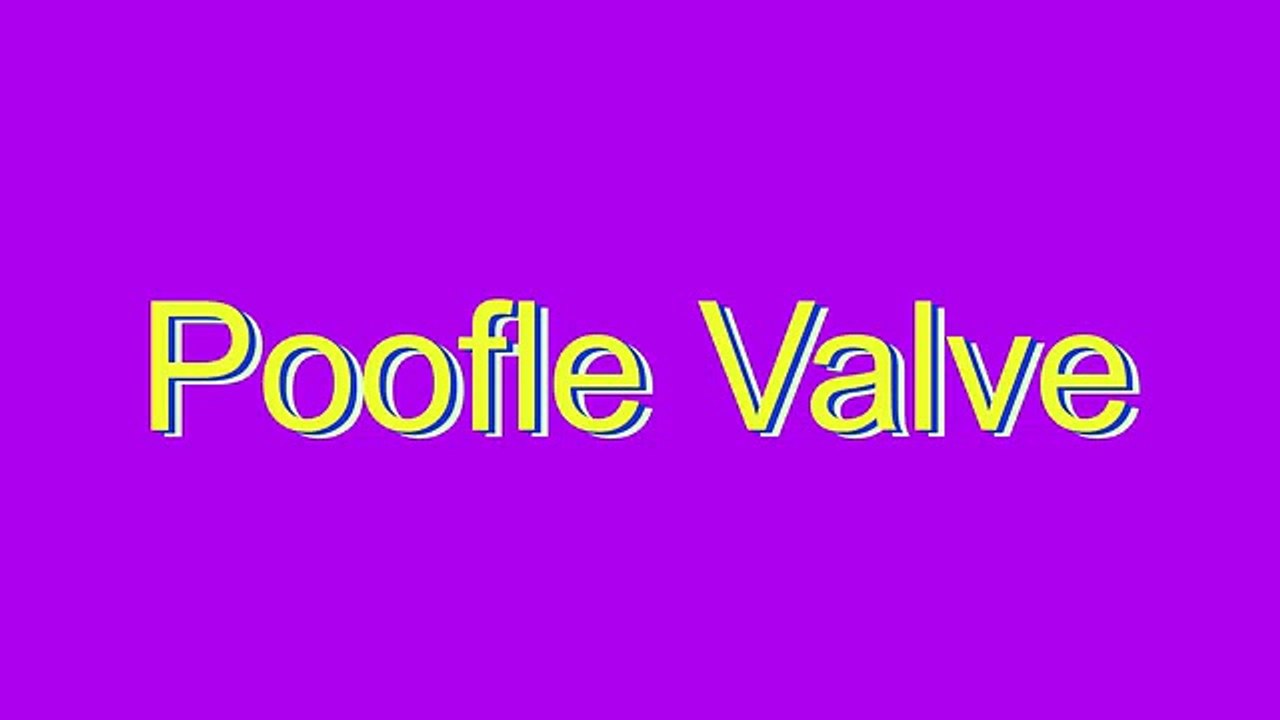 How to Pronounce Poofle Valve video Dailymotion
