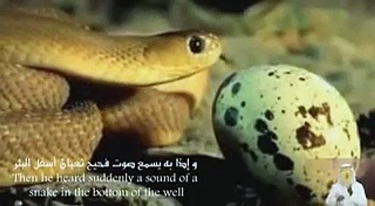 قصة مؤثرة ! عصام الشايع