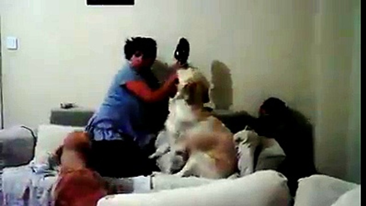 Mãe faz encenação com sua filha para testar a reação dos seus cães. Veja o resultado.