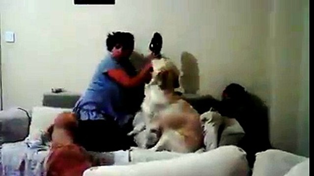 Mãe faz encenação com sua filha para testar a reação dos seus cães. Veja o resultado.