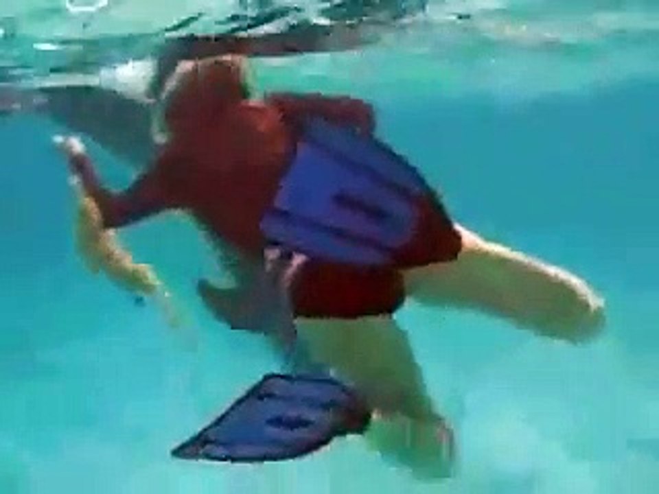 Estuprada por um golfinho -