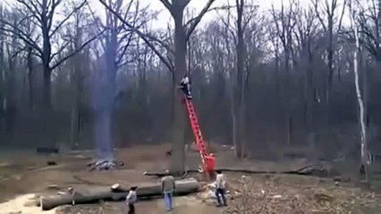 Kestiği ağaç dalı sonu oldu