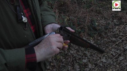 Belle-Île-en-Mer |  La Chasse à la Bécasse |  TVBI Belle-Île Télévision