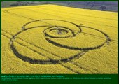 AGROGLIFOS (Agroglyphes) - CROP CIRCLES (PP)