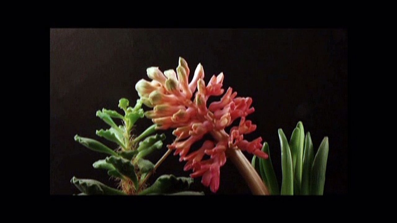 Slideshow With Music Part 05