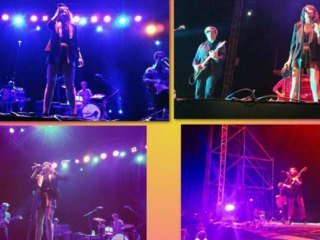 AMARAL: RECORRIDO POR EL AÑO 2014