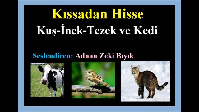 Kuş-inek-kedi ve Tezek Kıssası-Adnan Zeki Bıyık