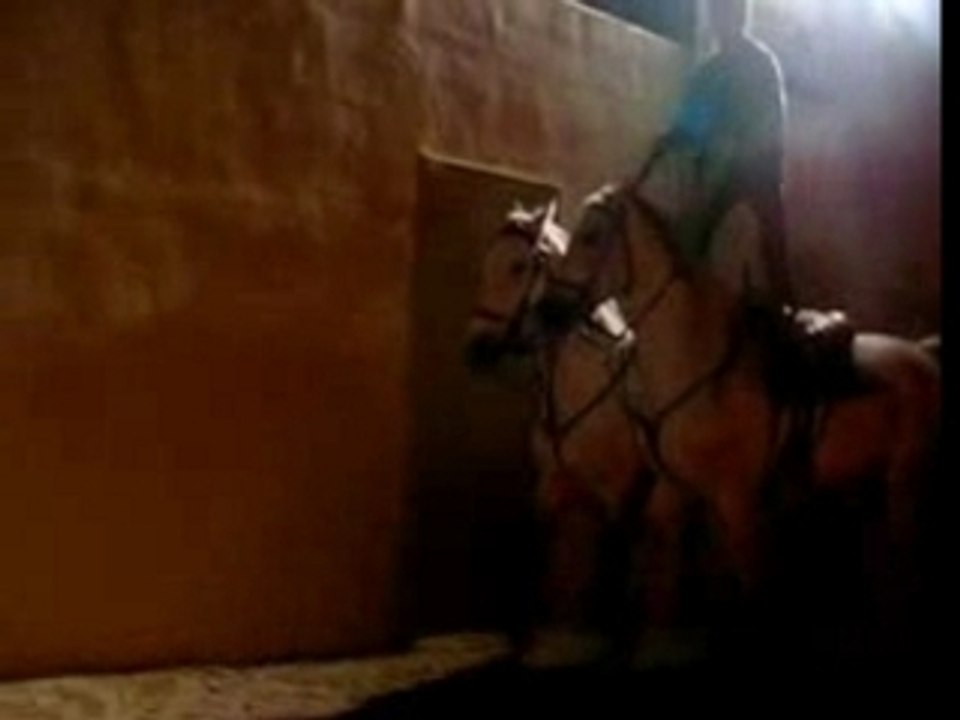 Poste hongroise Caracole