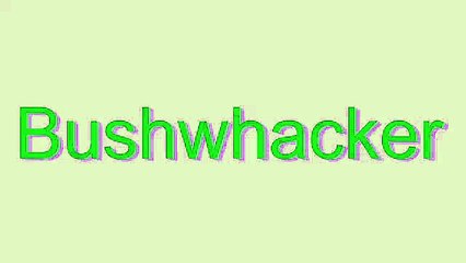 How to Pronounce Bushwhacker