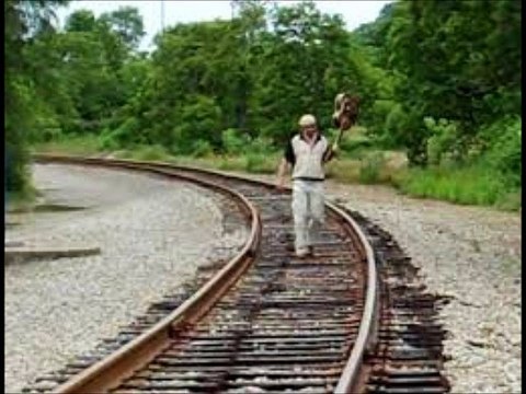 Walkin' Blues by Mariachis Gringos and The Electric Trunk