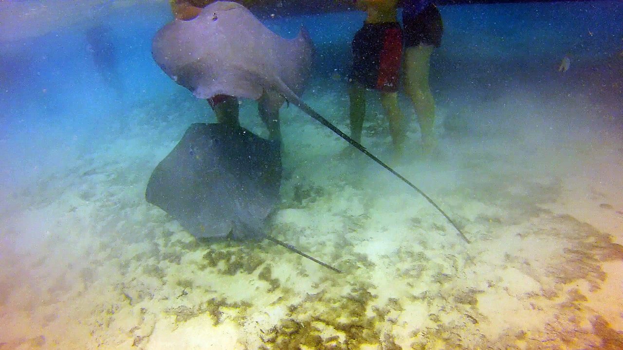 GOPR3407