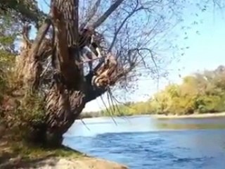 Biggest Rope Swing Fail EVER Must Watch HD Video Download