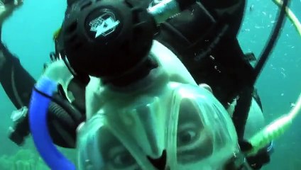 See what happens when you crack an egg underwater.