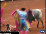 Mexican female bullfighter gored by bull.