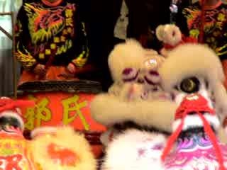 Lion dance Hong Kong