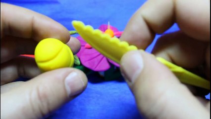 Play Doh Easy Bee & Rainbow Caterpillar for Kids.