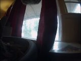 Que fait votre chien quand vous quittez la maison - GoPro sur le toutou!