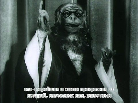 Роман о лисе. Часть 1