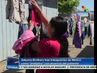 EEUU: migrantes quieren reforma que acabe con explotación en el campo