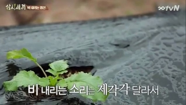 ­­카­지­노­시­스­템­배­팅­▶Ｒ­Ａ­Ｔ­１００,ＣＯＴ ◀­카­지­노­시­스­템­배­팅­*＠♡℡