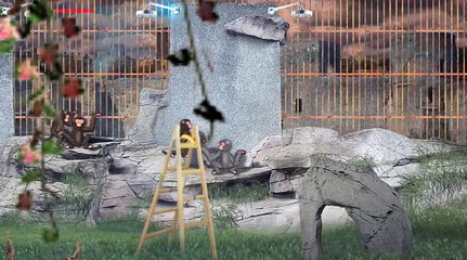 "Soyez le changement" : entretien avec Thierry Janssen