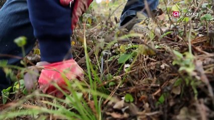 Arirang Special M30Ep305