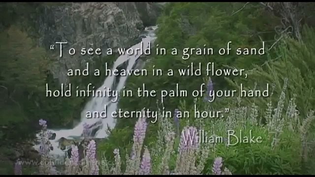 Inspirational quotes about confidence, love and dreams