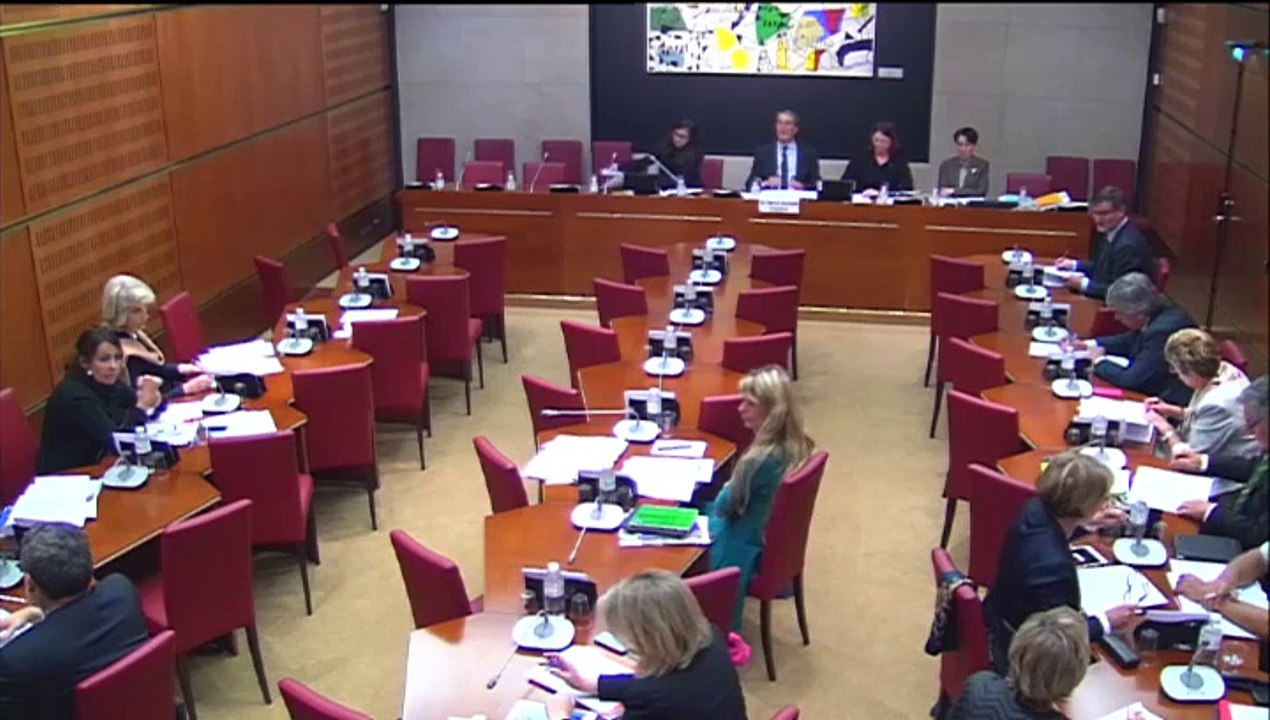 Commission des affaires culturelles : Budget 2015 : Crédits de la mission Sport ; Crédits de la mission Action extérieure de l'Etat