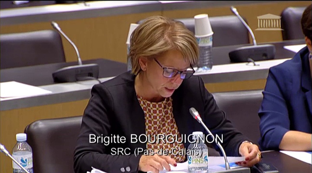 Budget (commission élargie) : Crédits 2015 : Médias, livres et industries culturelles