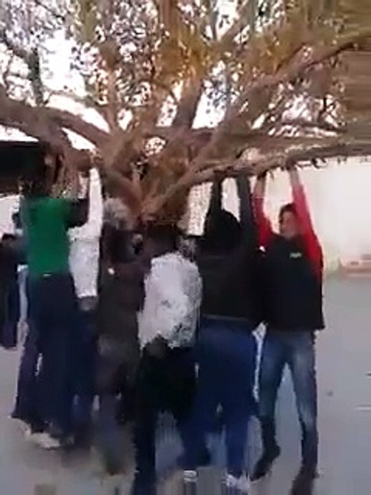 Strong sensation with a tree