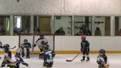 People say hockey is a brutal sport