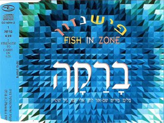 FISH IN ZONE - Stength to carry on (baraka english version)