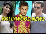 Baba Ramdev Wants Aamir Khan's PK To Be Boycotted | Bollywood Gossips | 29th Dec.2014