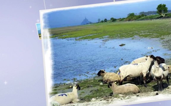 pres sales mt st michel