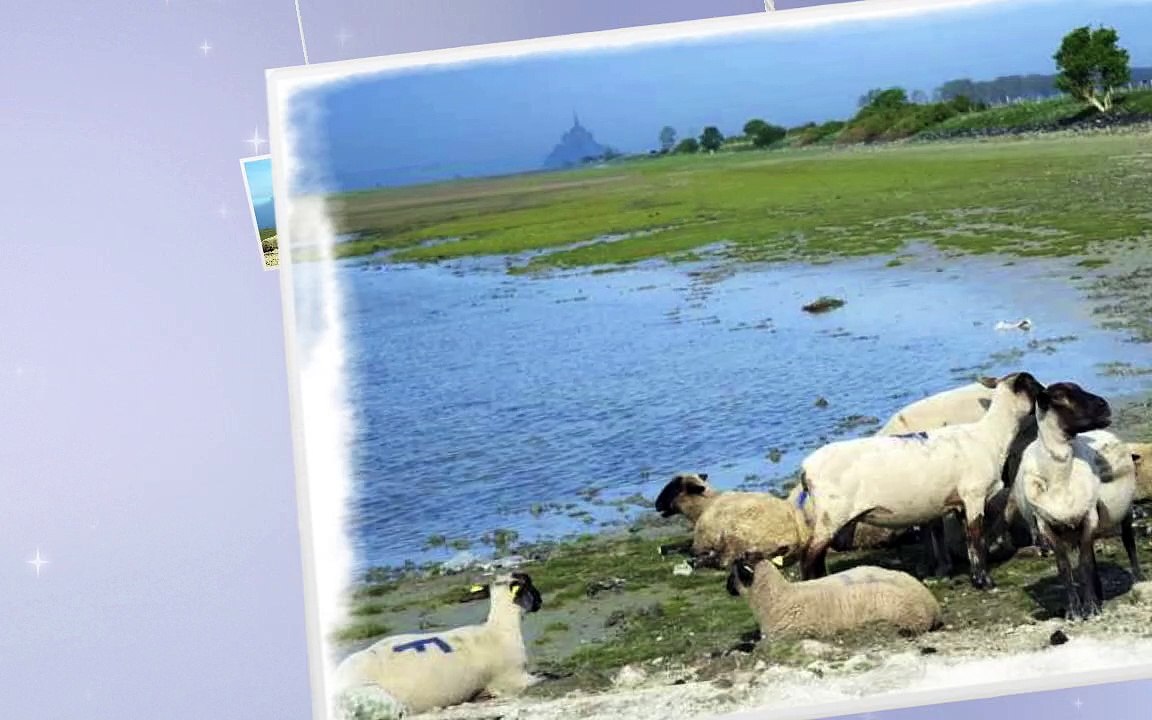 pres sales mt st michel