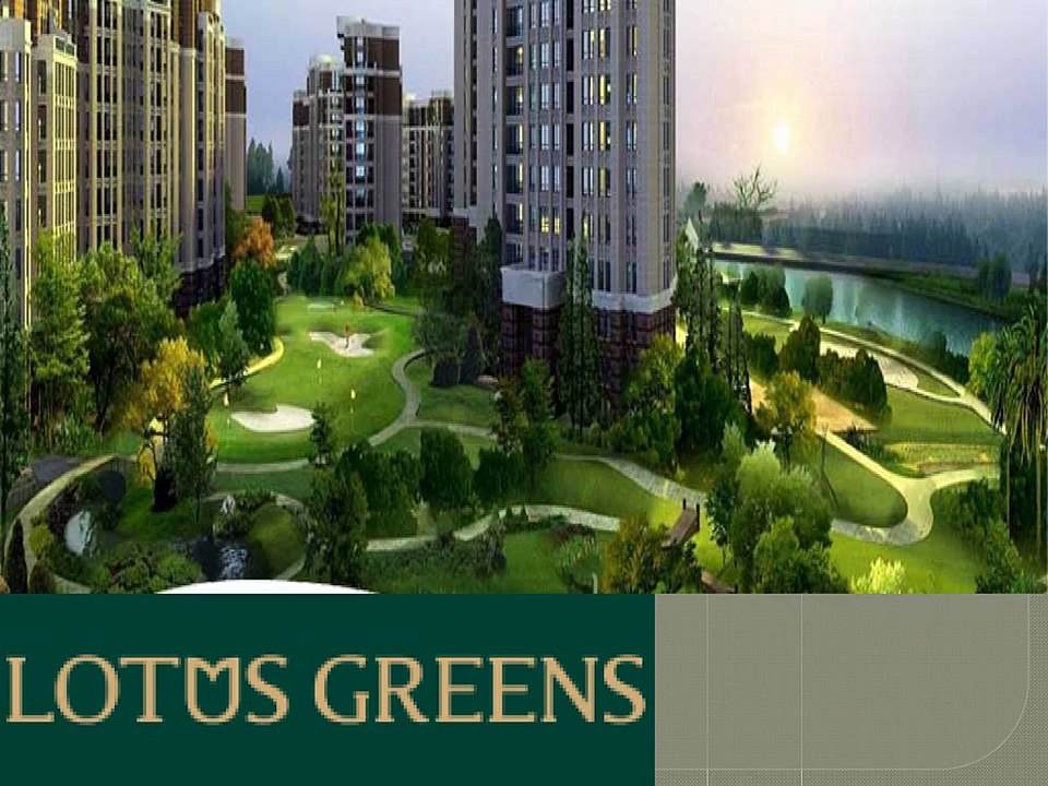 Lotus Greens Plot