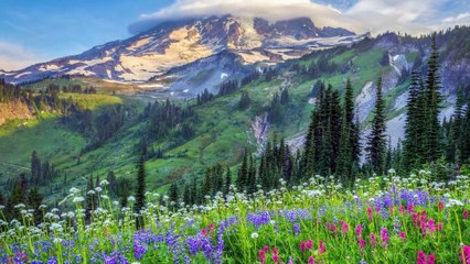 Muhteşem Manzaralar