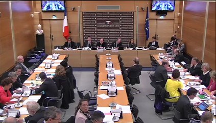 26.11.2014: Commission des lois - Principe d’innovation responsable