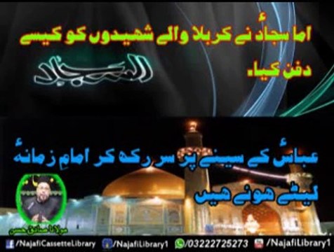 Imam Sajjad a.s Or Hazrat Abbas a.s ! Maulana Sadiq Hassan