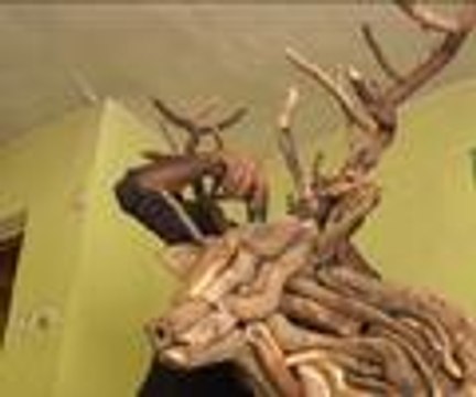 Ağaç köklerini sanat eserine dönüştürüyor