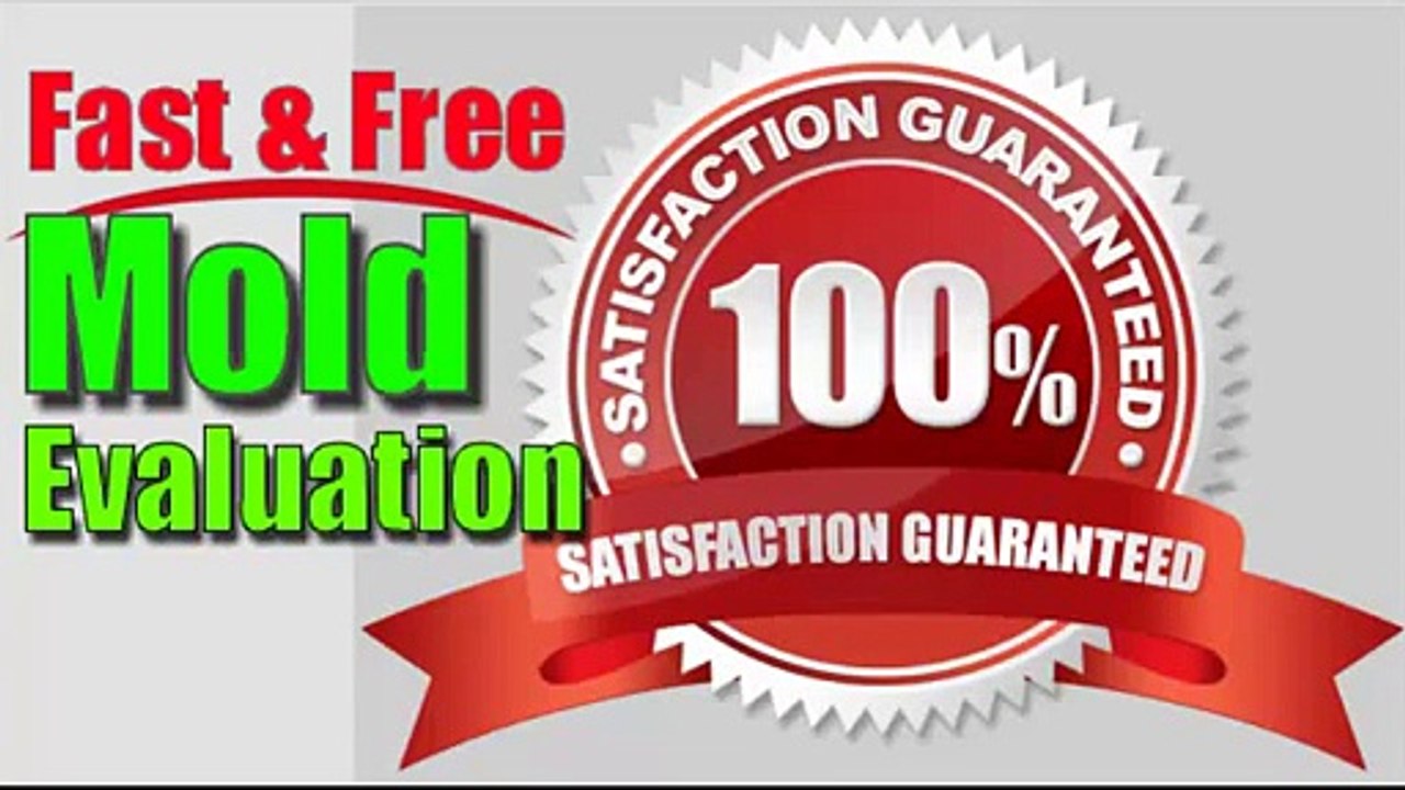 St Louis Mold Inspection Best Mold Removal Company St Louis BioClean911.com