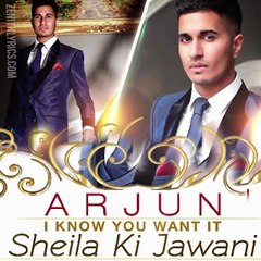 I know You Want It (Sheila Ki Jawani) Video Song TEASER - Arjun