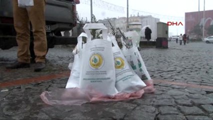 Taksim'de Yılbaşı Öncesi Bin Fidan Dağıtıldı