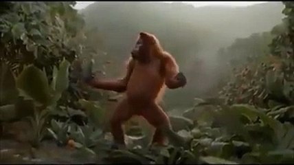 VID-20141211-WA0014.mp4