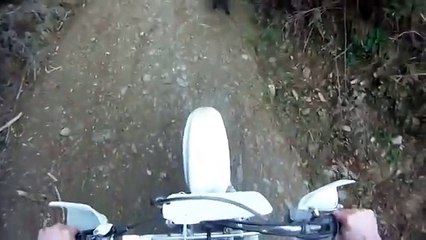 Dağ Keçisi Motorcuya  Saldırdı