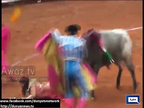 Mexican female bullfighter gored by bull