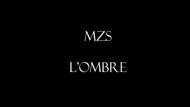 L'ombre... - Album Pensées Nocturnes - MZS -