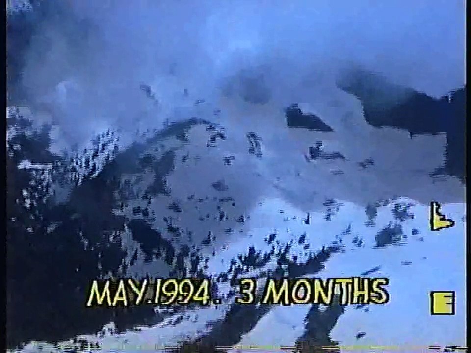 Bella Coola Natural History: Aerial Survey